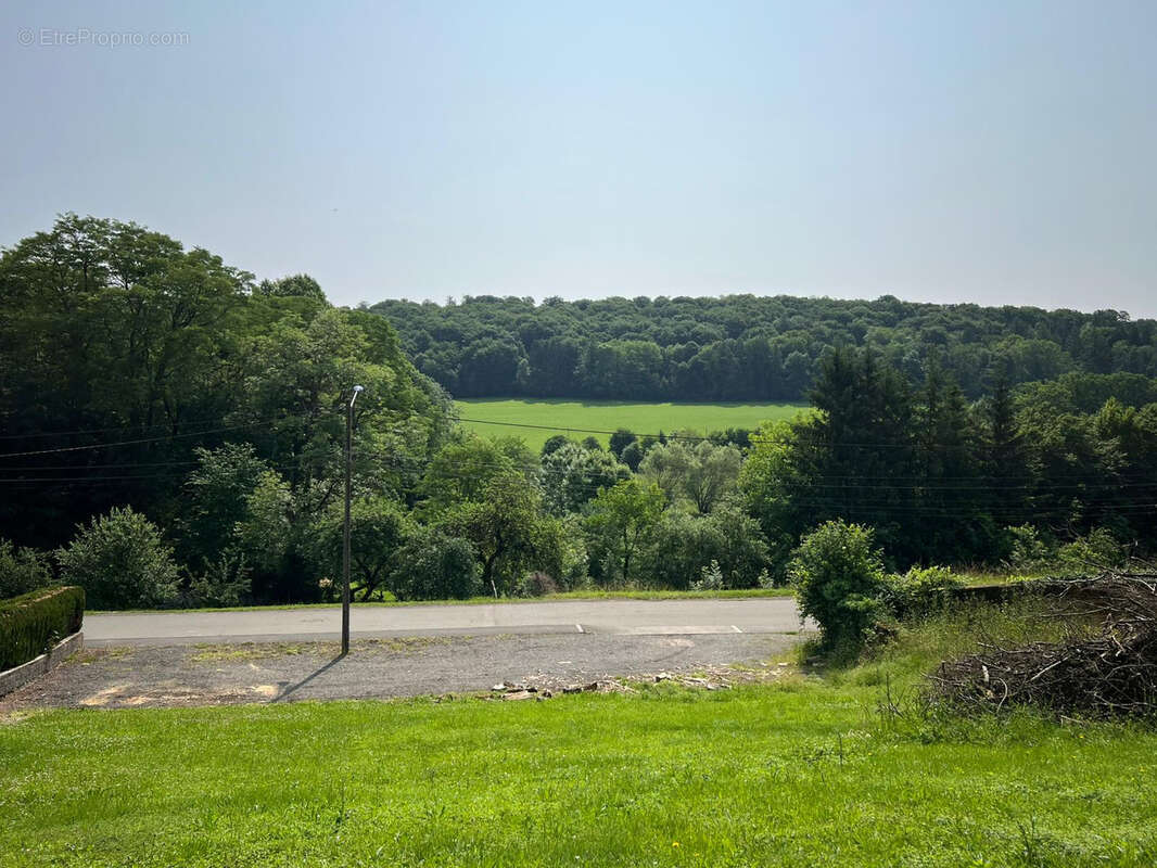 Terrain à SOYE