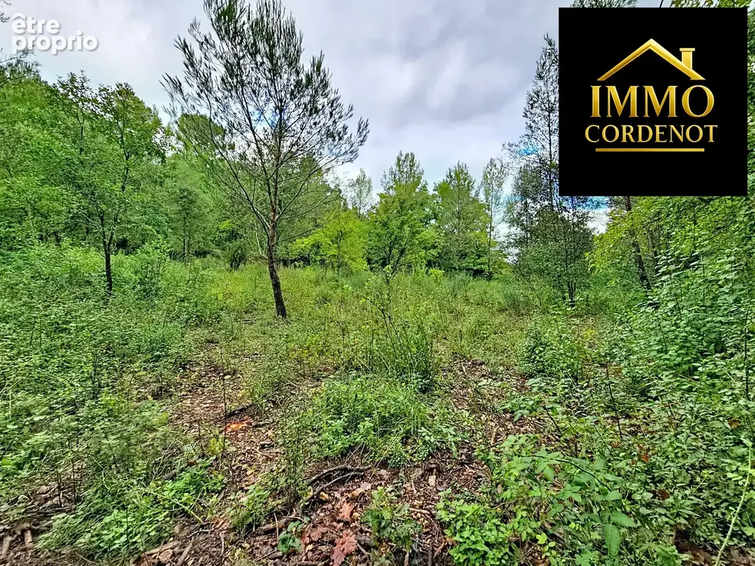 Terrain 5 995 m² à vendre à Neoules (83136) - photo 3