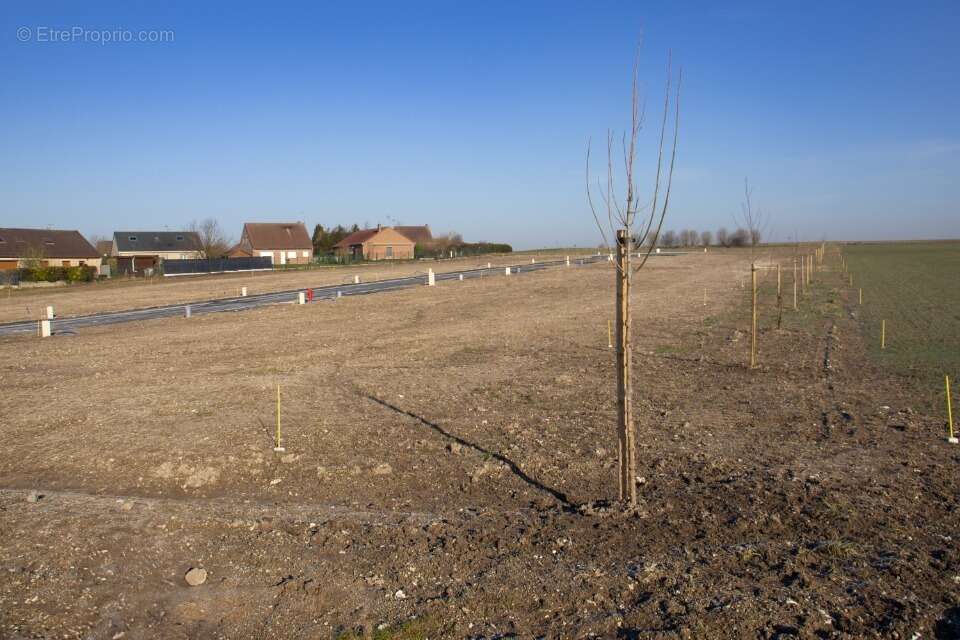 Terrain à AUBIGNY-AU-BAC