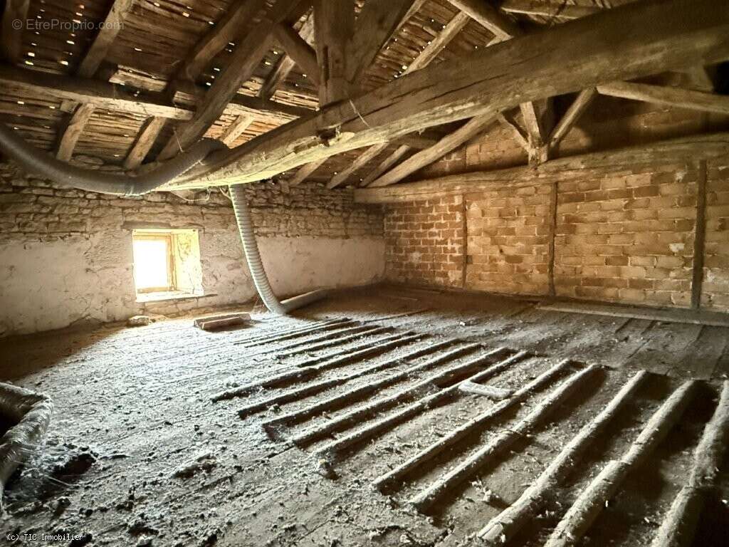 Petite Maison de Ville à Champagne Mouton - photo 11