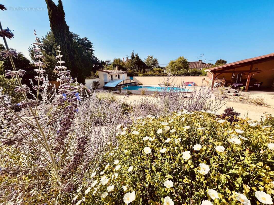 Maison de Style Provençal avec Piscine à Bergerac - photo 13