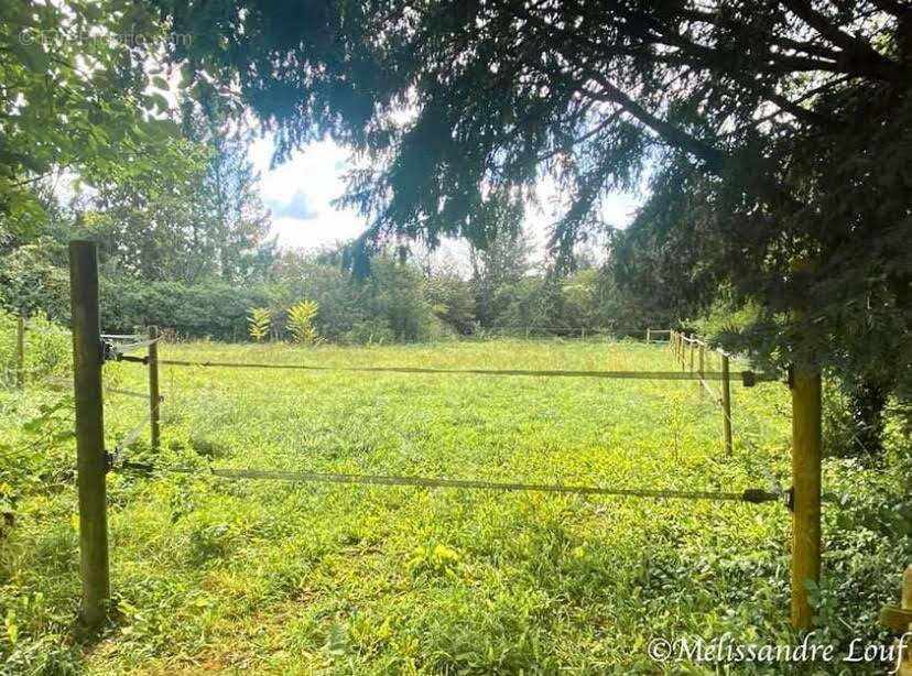 Terrain à COULOMBS-EN-VALOIS