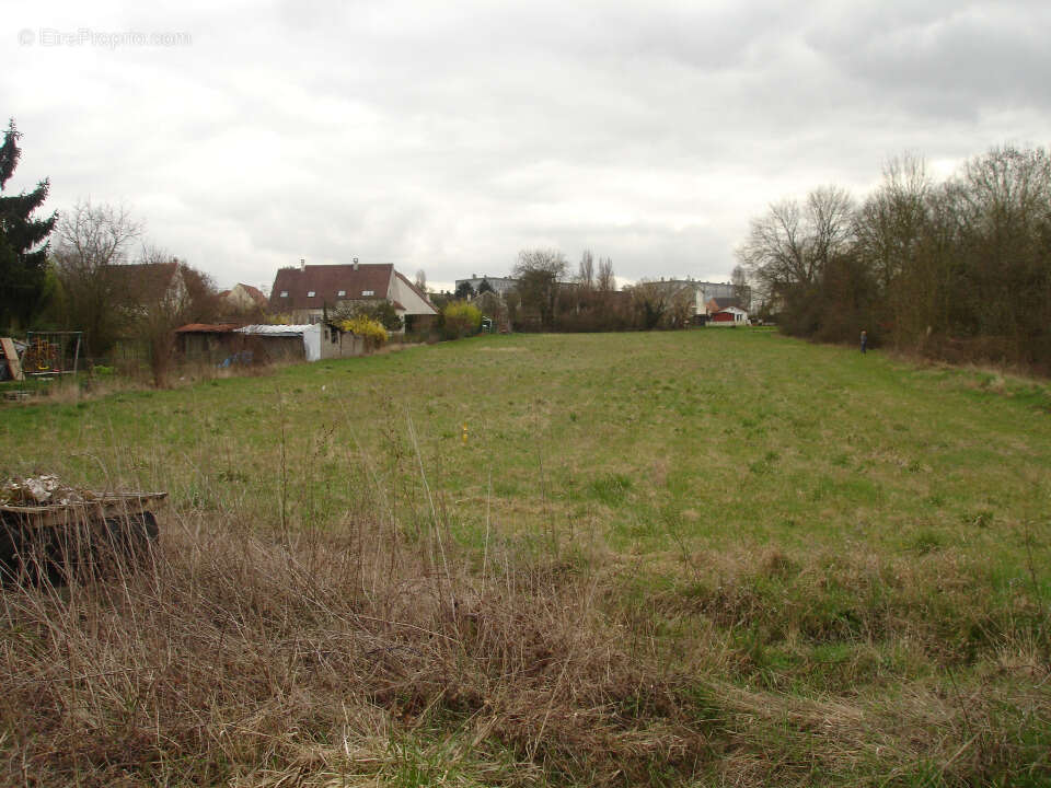 Terrain à MORET-SUR-LOING
