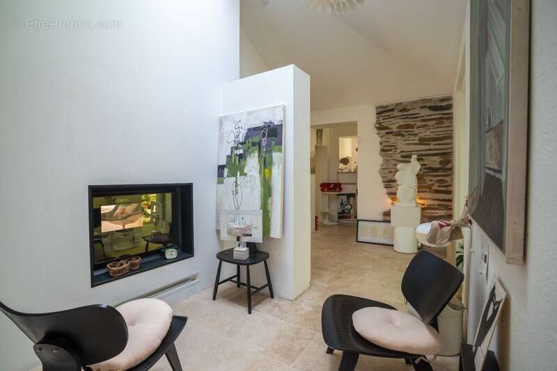 Vue carte postale sur la Maine : Maison atypique et appartement séparé de 300 m2 jouant sur les volumes, la lumière et les persp - photo 5