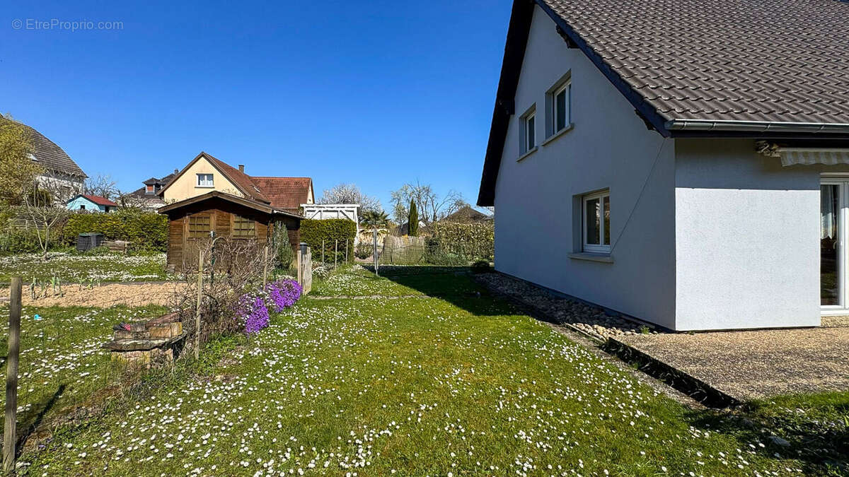 Maison à ACHENHEIM