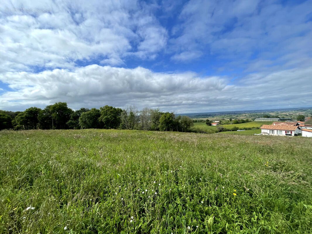 Terrain à BIDACHE