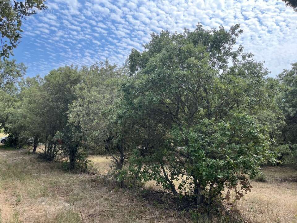 Terrain à MONTSEGUR-SUR-LAUZON