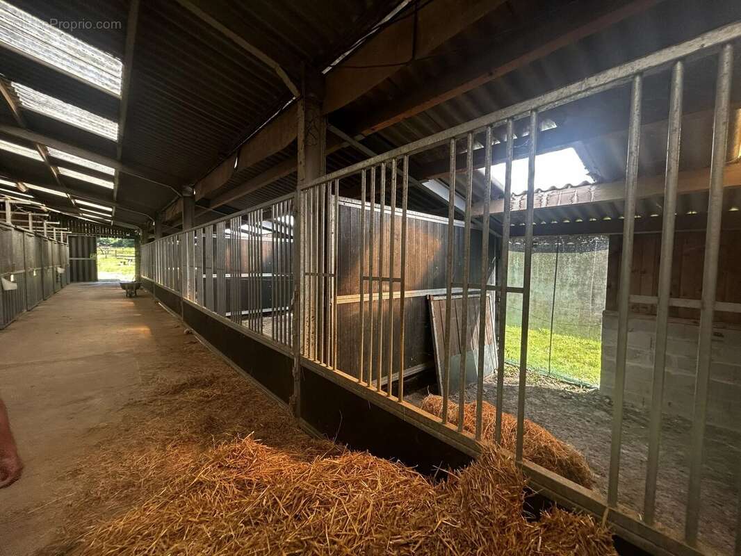 Propriete equestre - photo 6