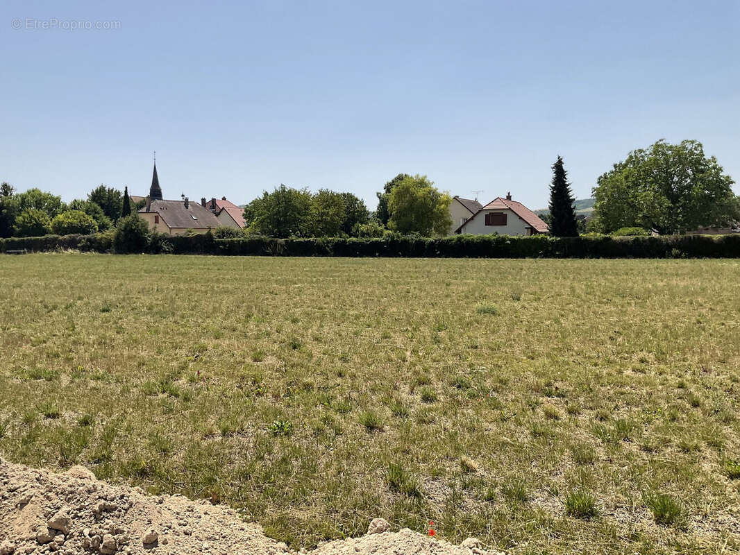 Terrain 9517 m² à Torvilliers  - photo 2