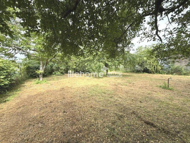 Terrain à CHATEAUROUX