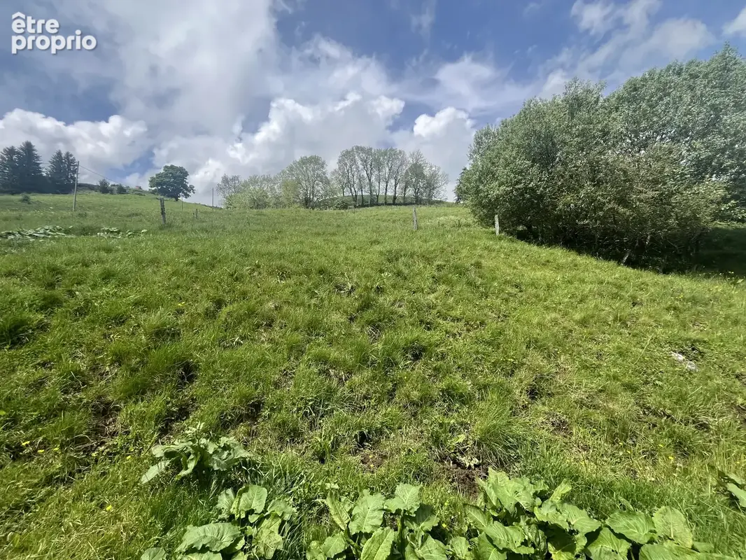 Entre besse et super-besse propriete en pierre avec grange, ecurie et source sur 12594m2 de terrain - photo 5
