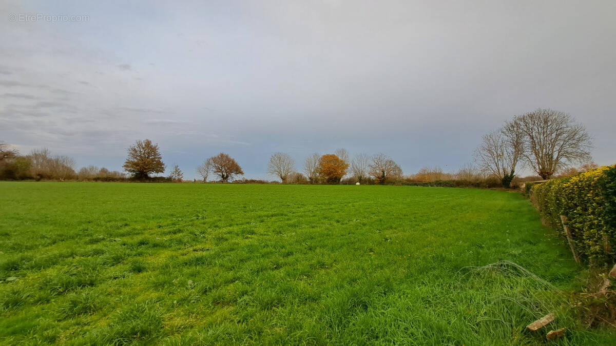Terrain à SAINT-PARDOUX