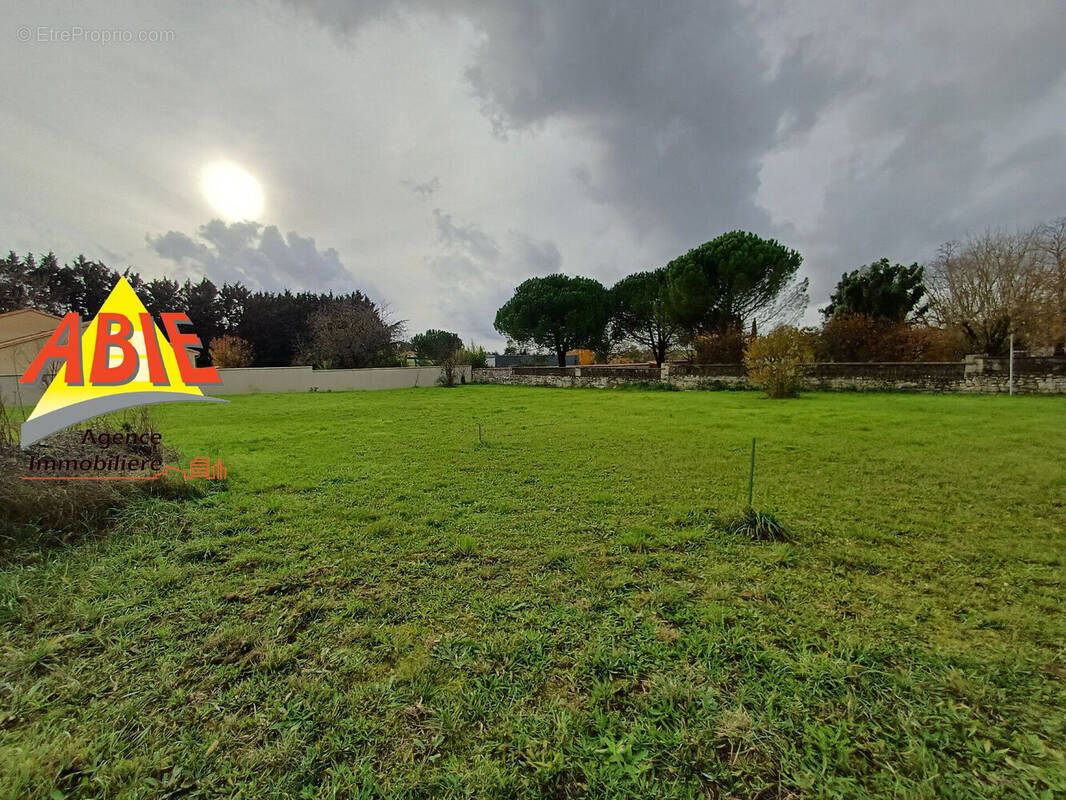 Photo 1 - Terrain à FONTENAY-LE-COMTE