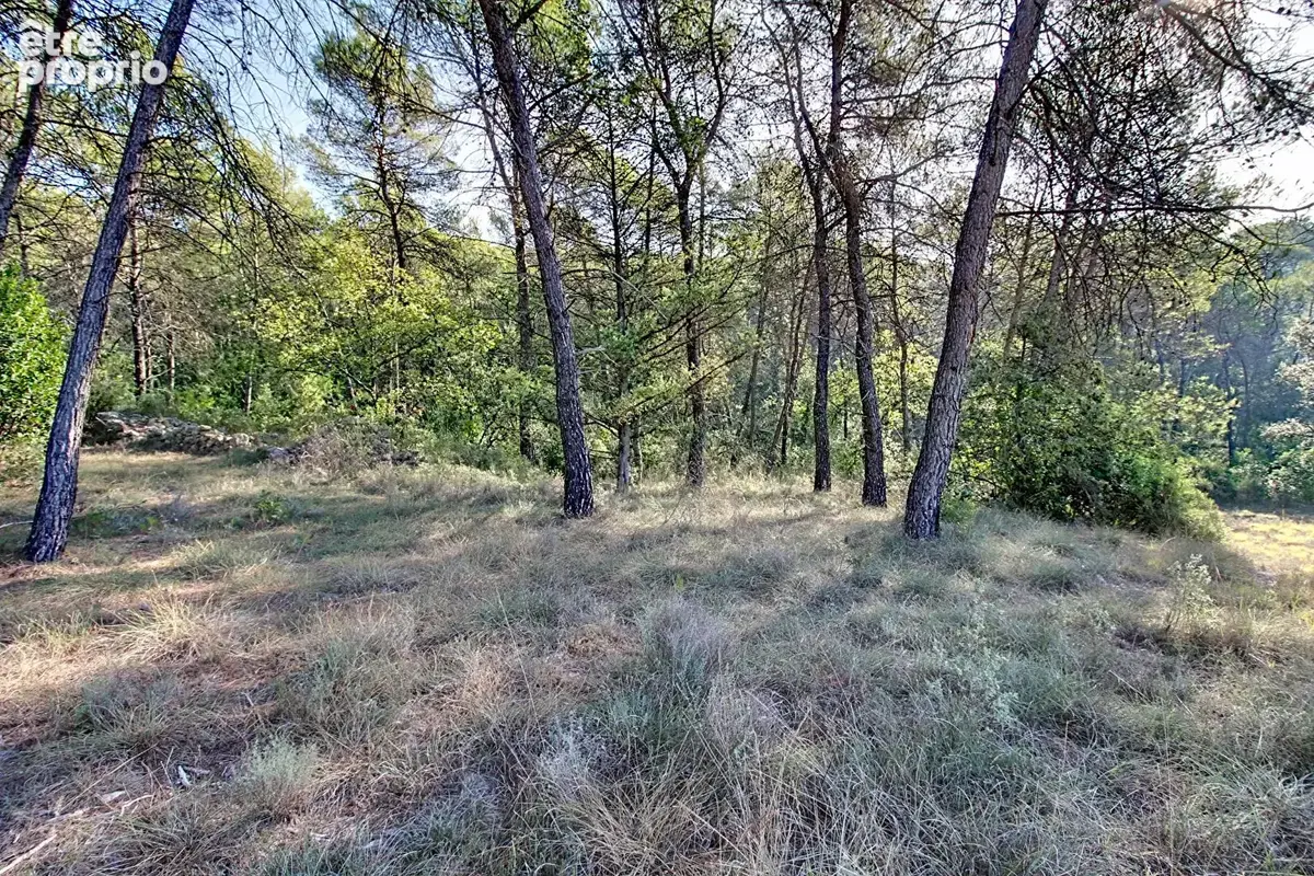 À VENDRE EN EXCLUSIVITÉ - TRANS-EN-PROVENCE - CABANON sur un terrain en zone naturelle de 1,7 hectares - photo 16