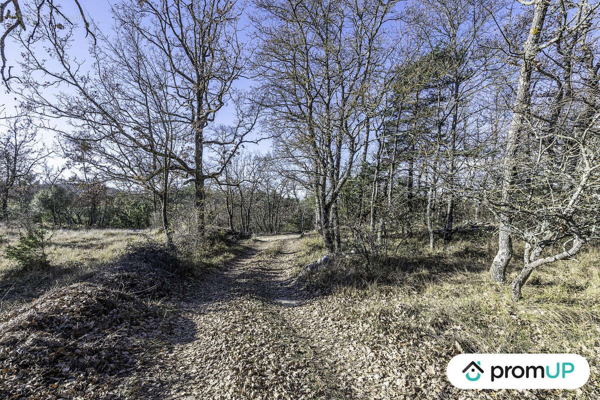 Terrain à SAINT-VALLIER-DE-THIEY