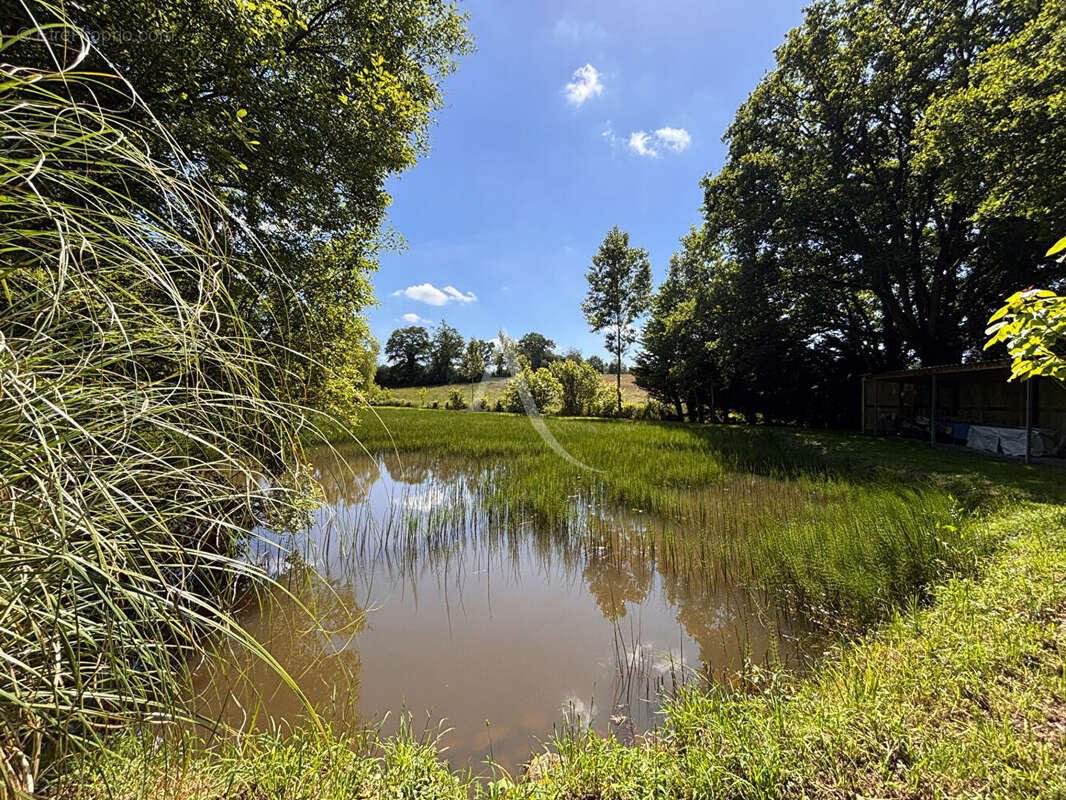 Terrain à ANDOUILLE
