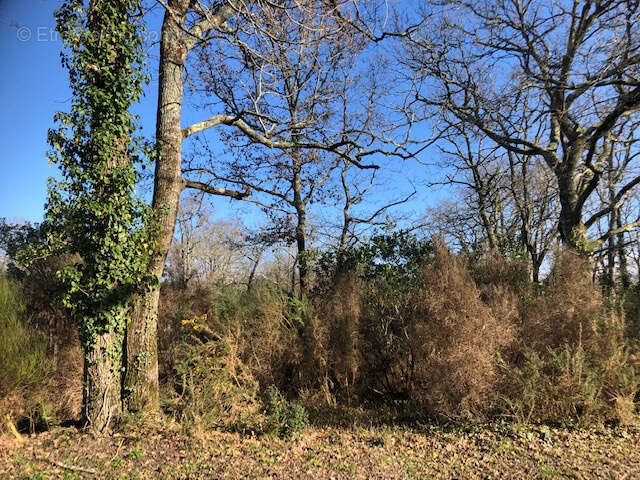 Terrain à GRAYAN-ET-L'HOPITAL