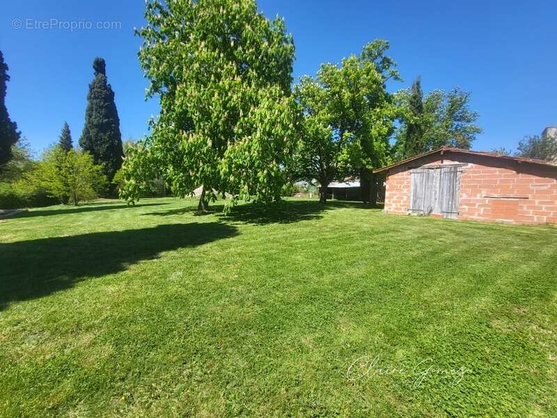 Terrain à MONTAIGUT-SUR-SAVE