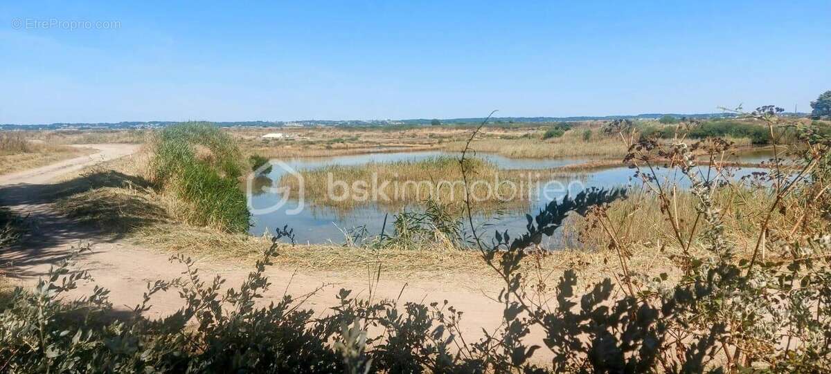Maison à BATZ-SUR-MER