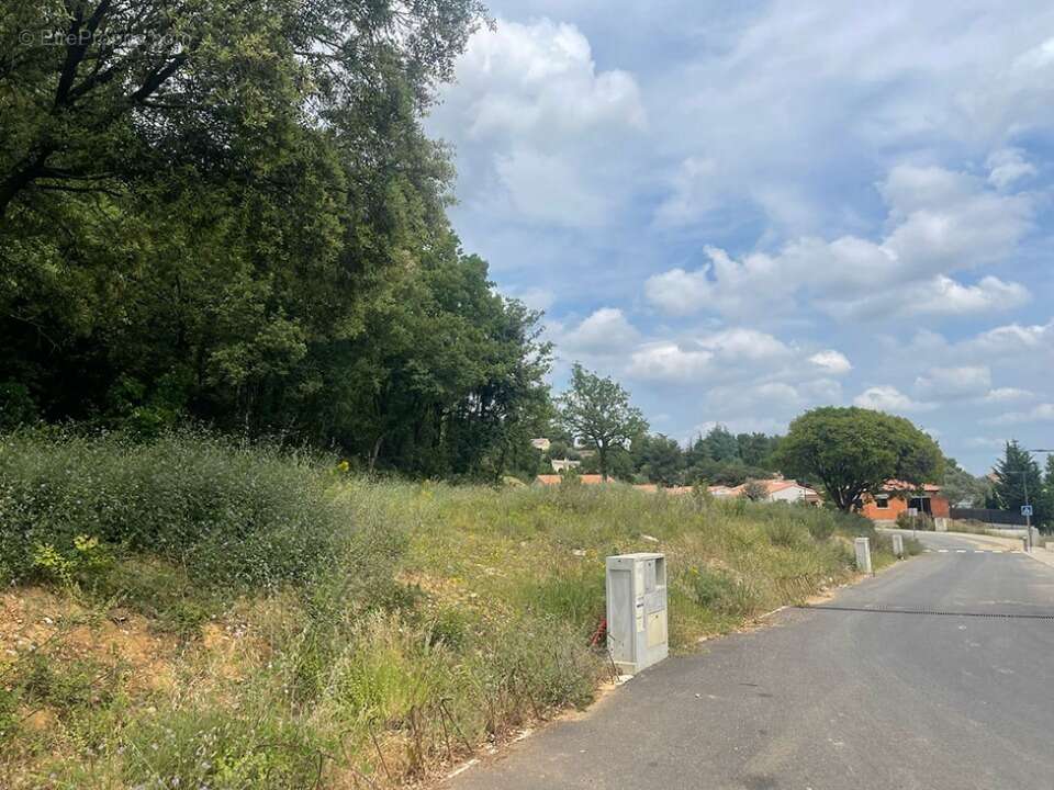 Terrain à VAILHAUQUES