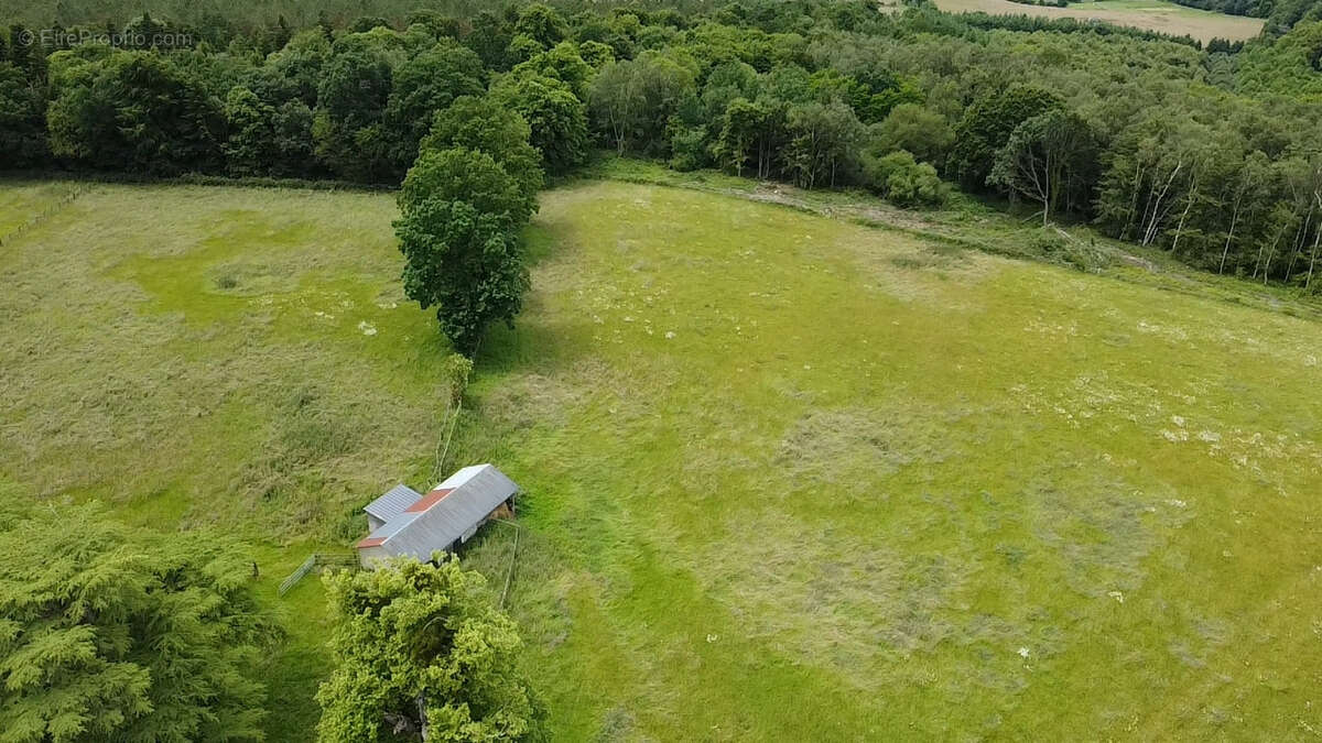 Propriété équestre avec 13 hectares - photo 44