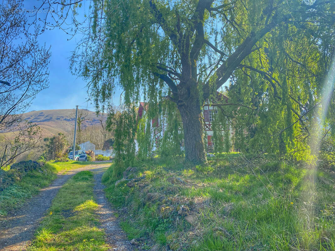Maison à SAINT-JEAN-PIED-DE-PORT