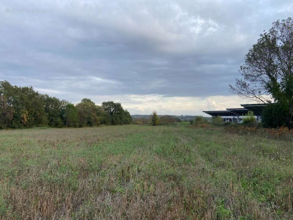 Terrain à MURVIEL-LES-BEZIERS