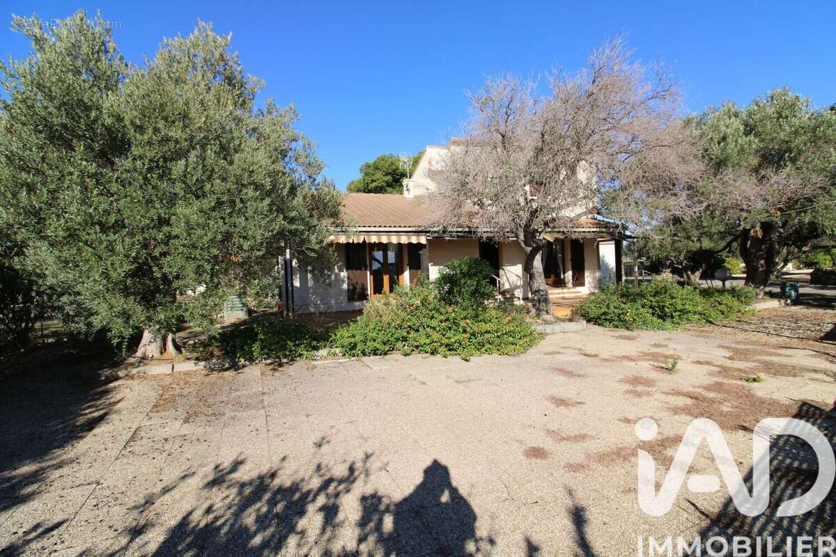 Photo 3 - Maison à FITOU