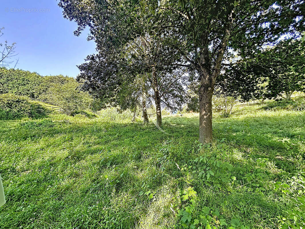 Terrain Loigne Sur Mayenne 23946 m2 - photo 16