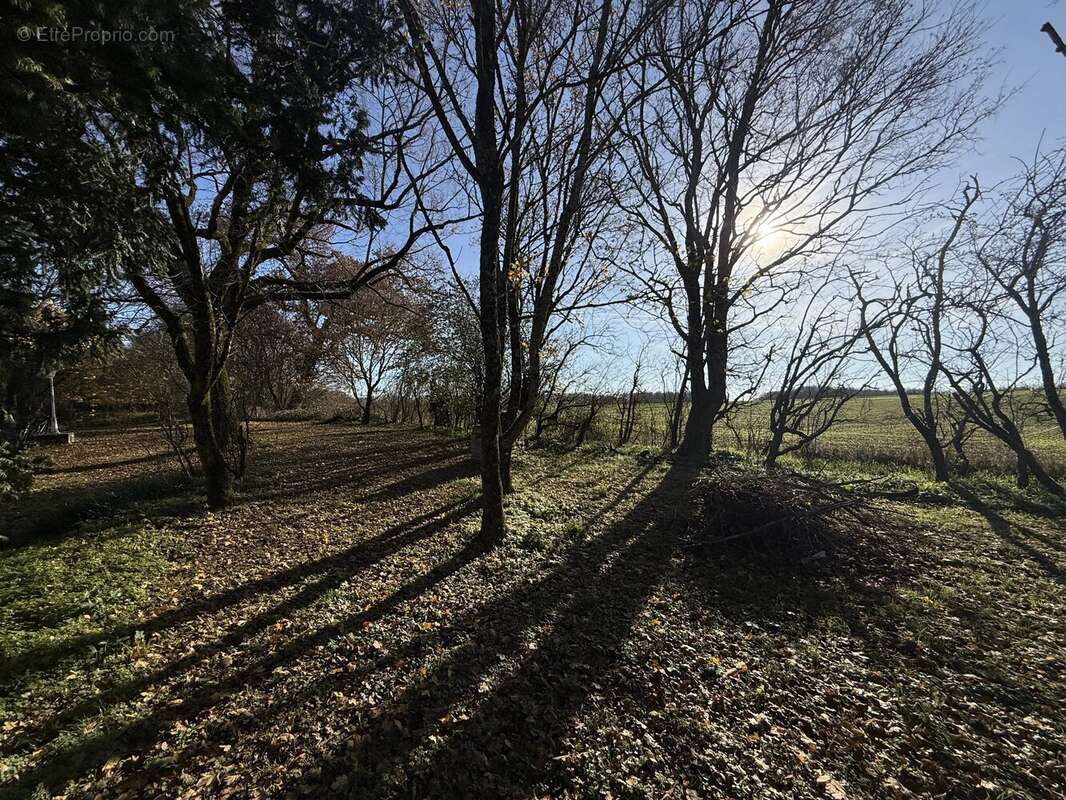 Maison à SAINT-FRAIGNE