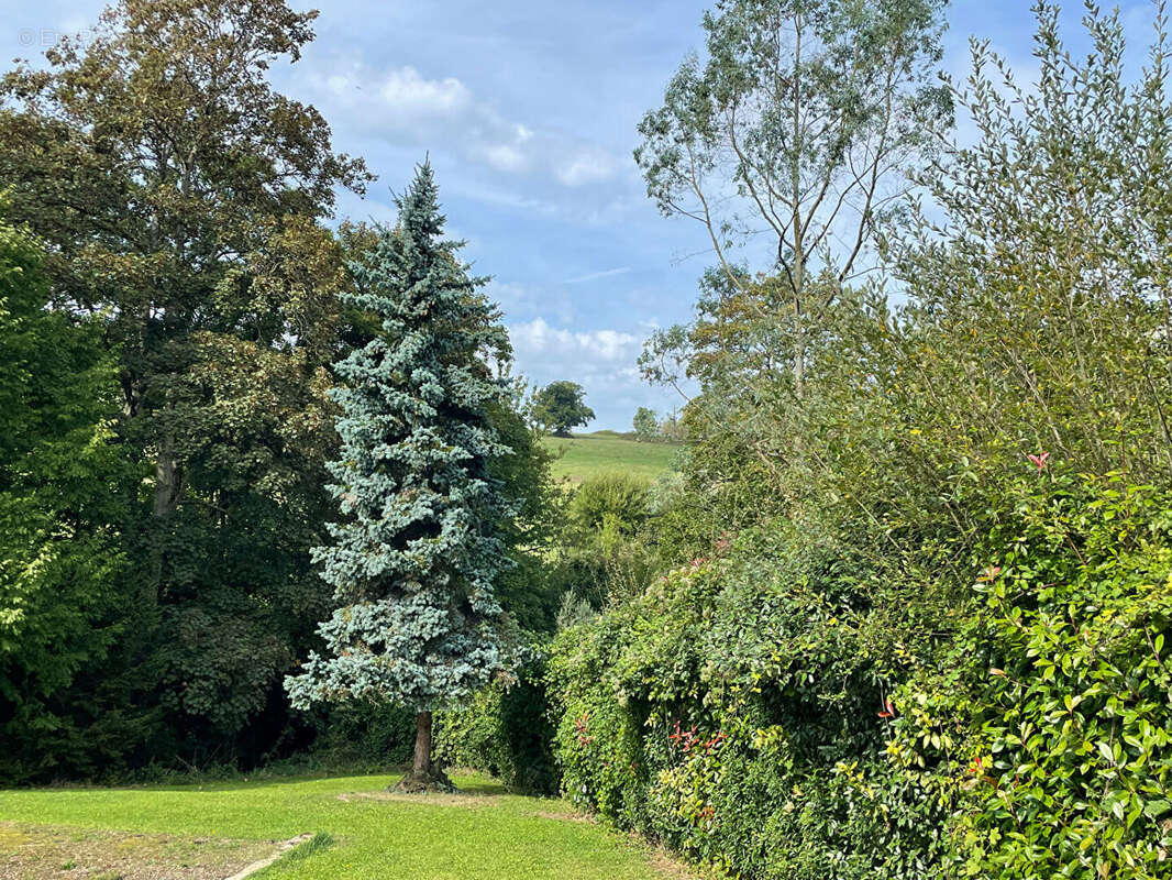 Terrain à VILLERS-SUR-MER