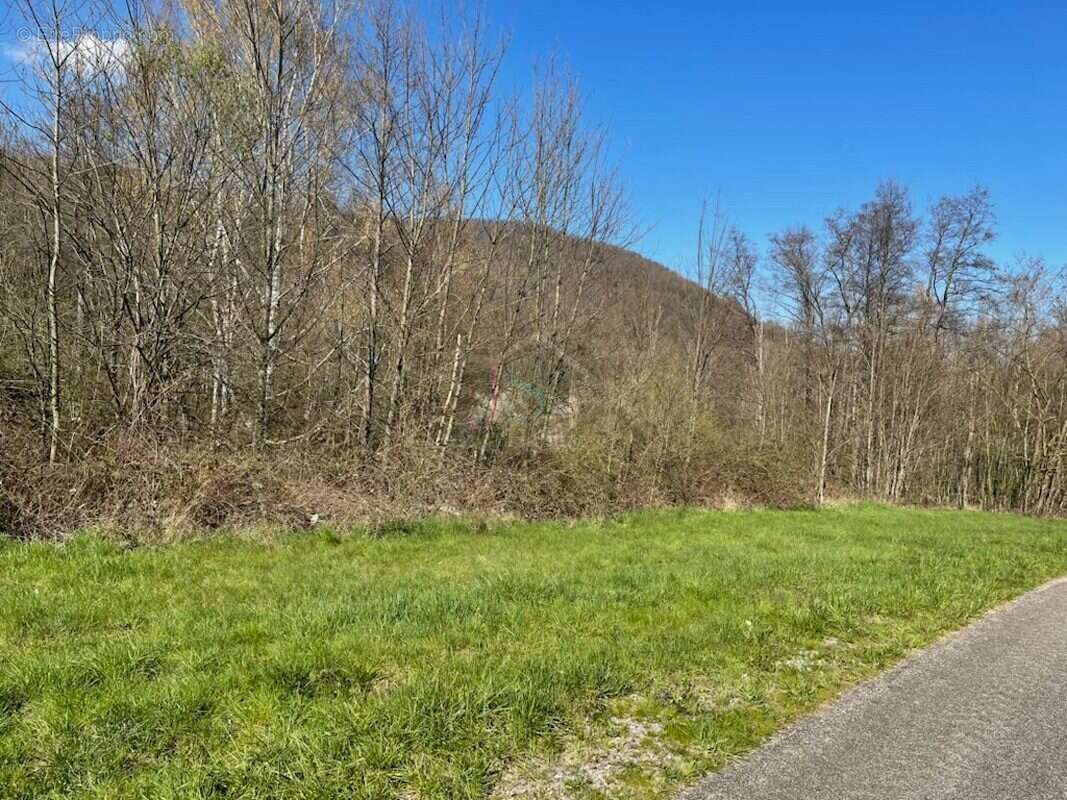 Terrain à SCHIRMECK