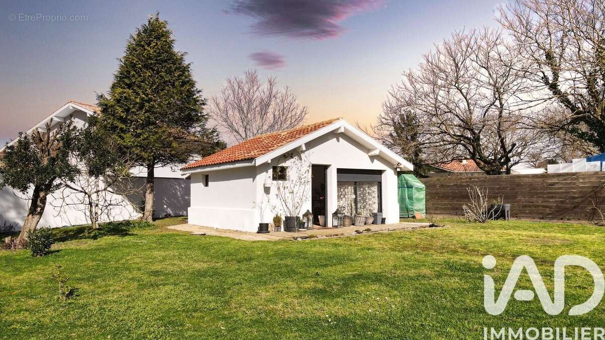 Photo 9 - Maison à TOSSE