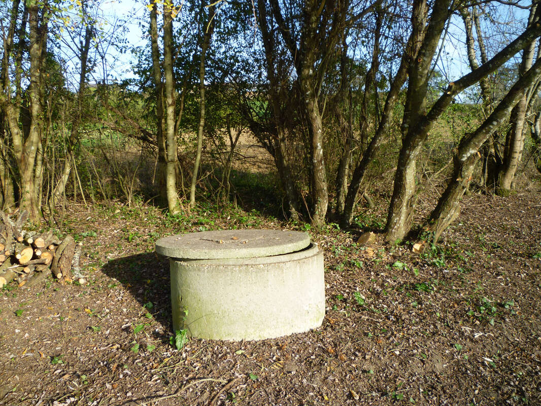 Terrain de loisir - photo 5