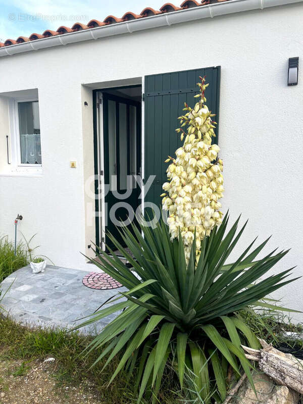 Maison à RIVEDOUX-PLAGE