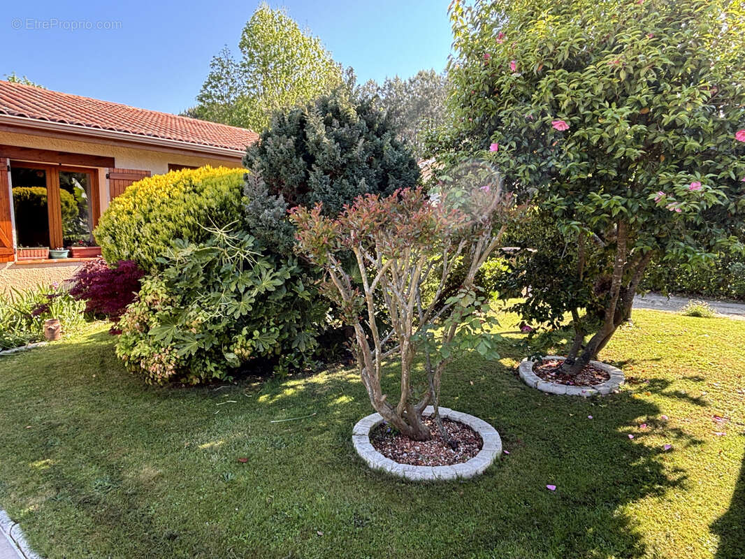 Maison à LA TESTE-DE-BUCH