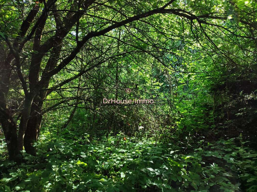 Terrain à SAINTE-MARIE-LAUMONT