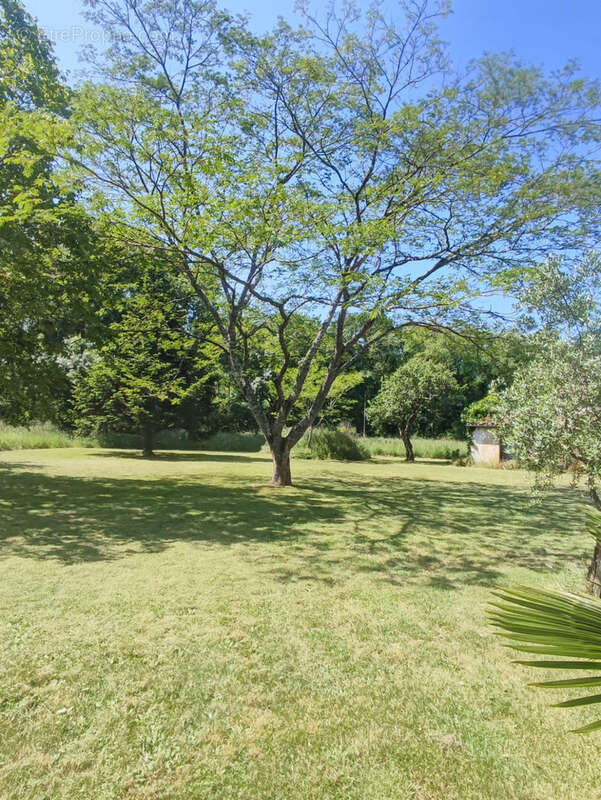 Maison à SAINT-ESTEPHE