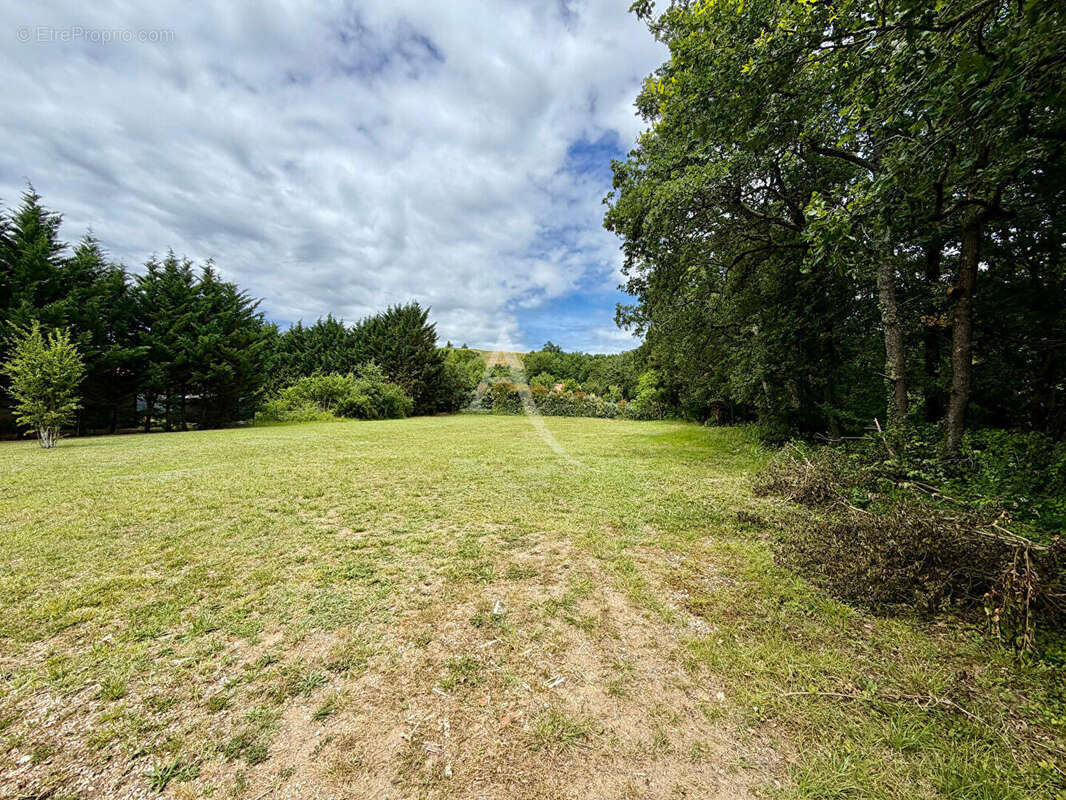 Terrain à vendre à Bessières ? Un cadre exceptionnel ! - photo 3