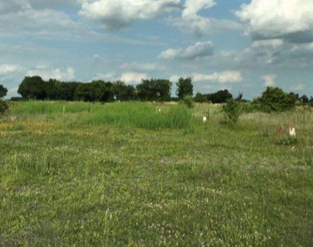 Terrain à LA FOYE-MONJAULT