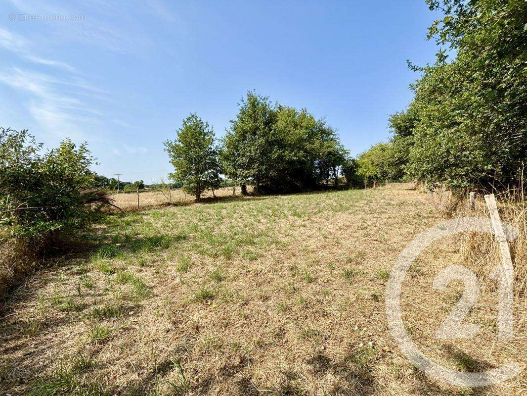 Maison à SAINT-ETIENNE-DE-FURSAC