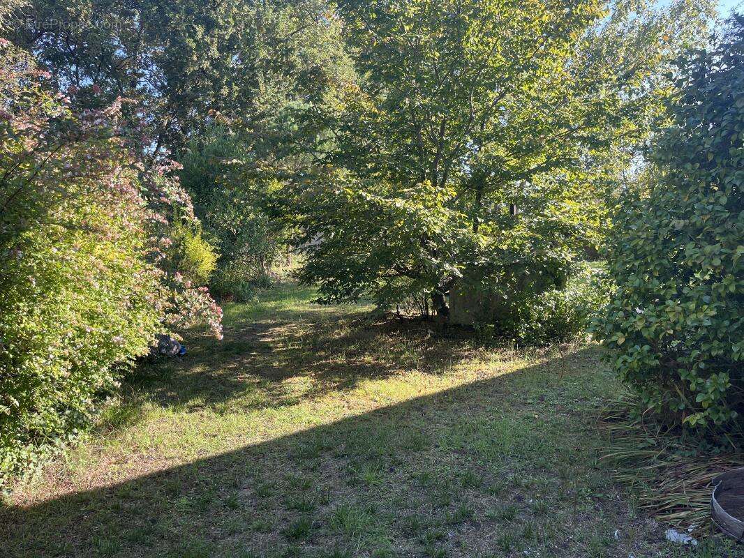 Maison à LE PIAN-MEDOC