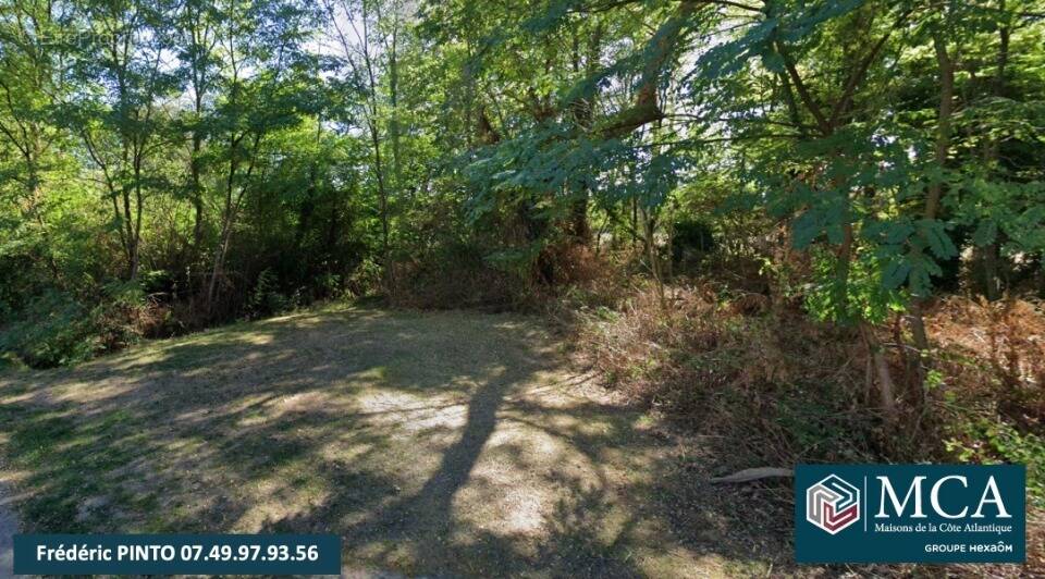 Terrain à SAINT-PIERRE-DU-MONT