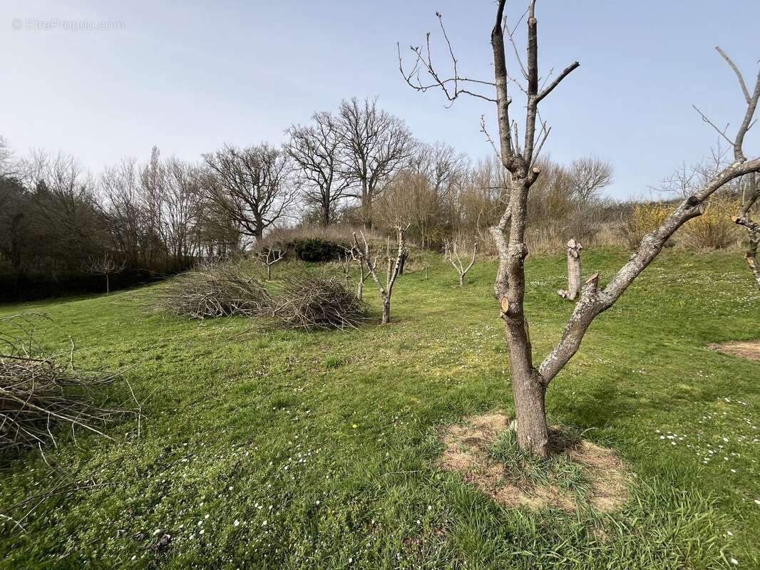 Maison à SAINT-PLAISIR