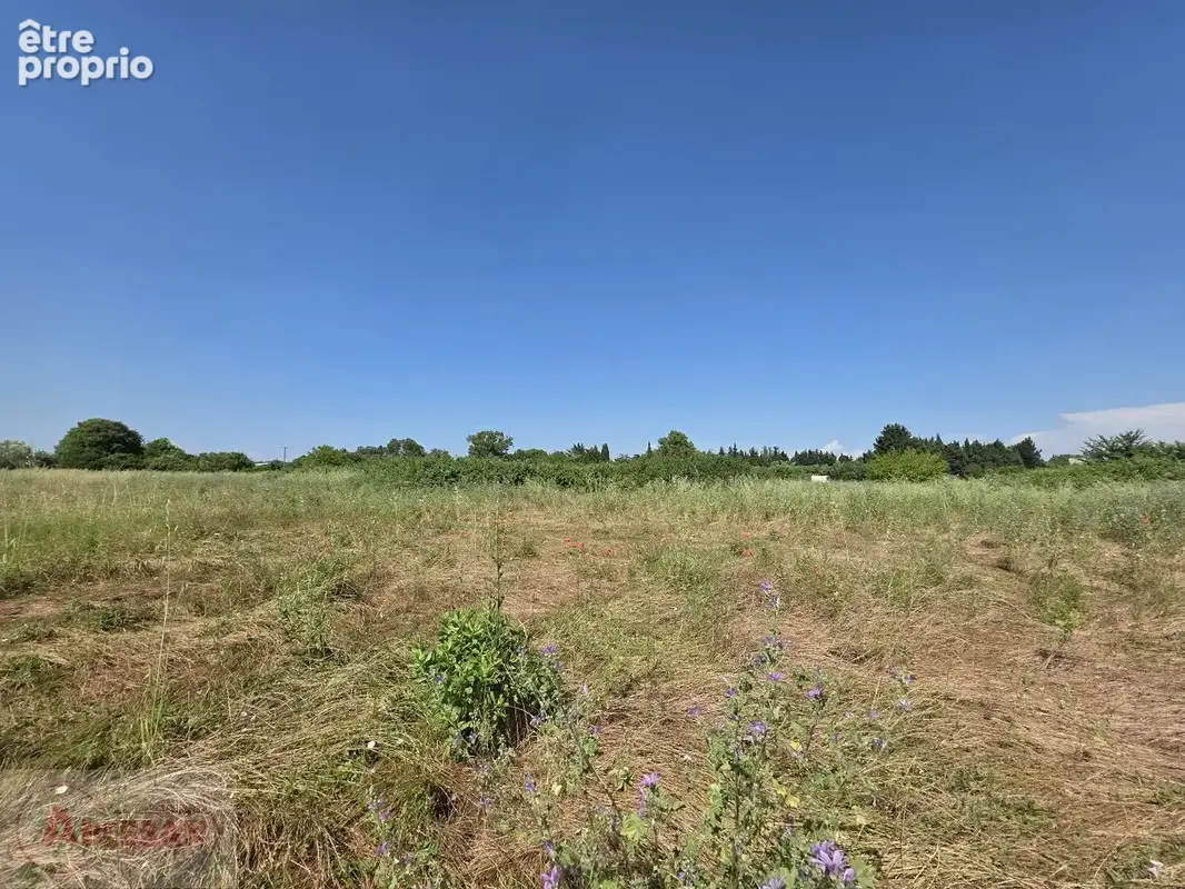 NÎMES EST  Grand foncier patrimonial de 9 775 m² (Secteur Mas Lombard) - photo 2