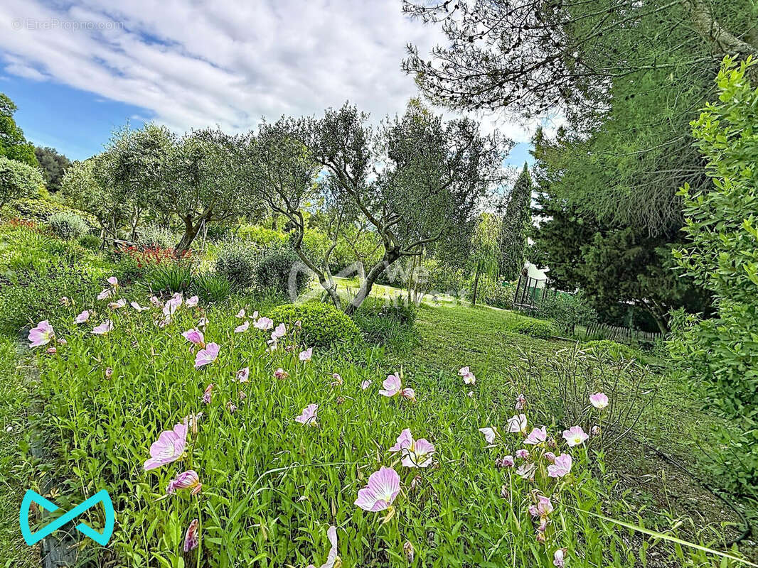 Maison 175 m² à Assas  - photo 5
