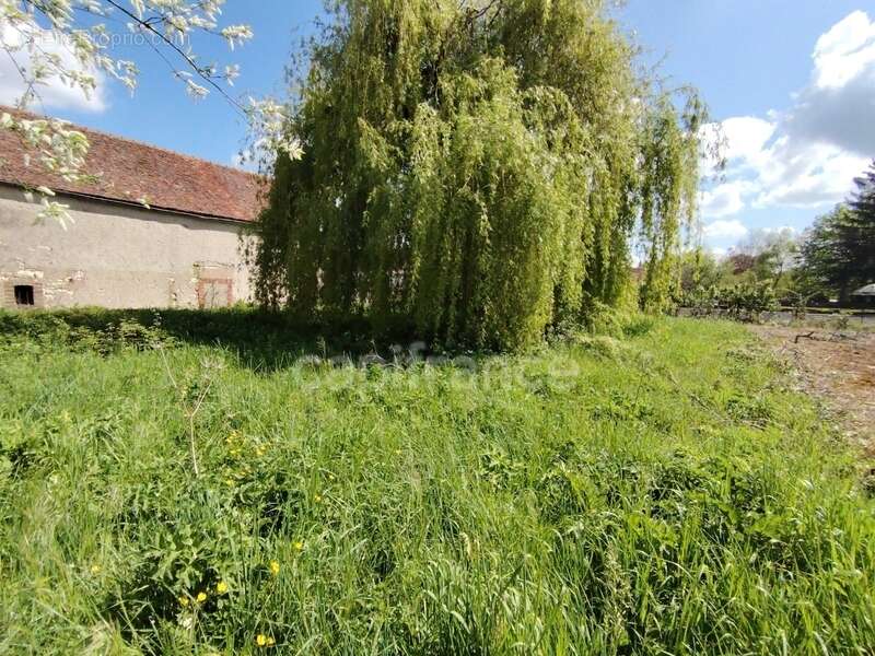 Terrain à HERY