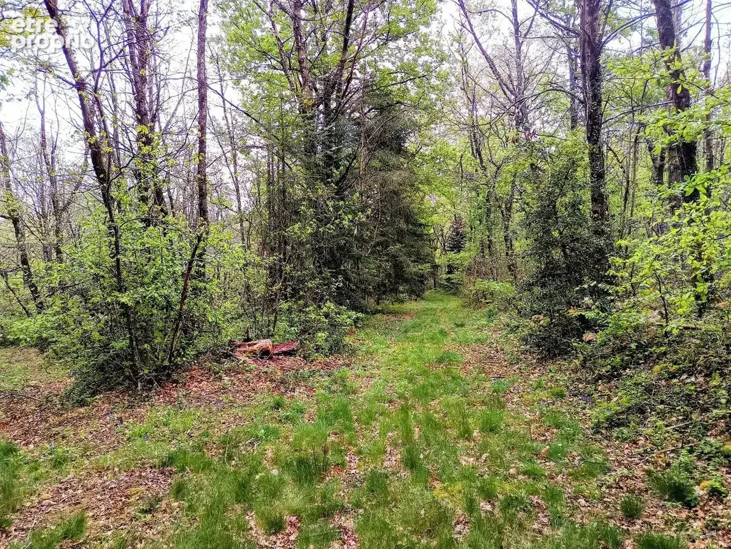 Maison 249 M2 avec terrain - photo 9
