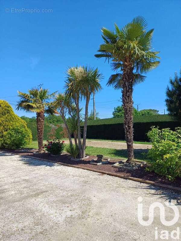 Photo 4 - Maison à FRONTON