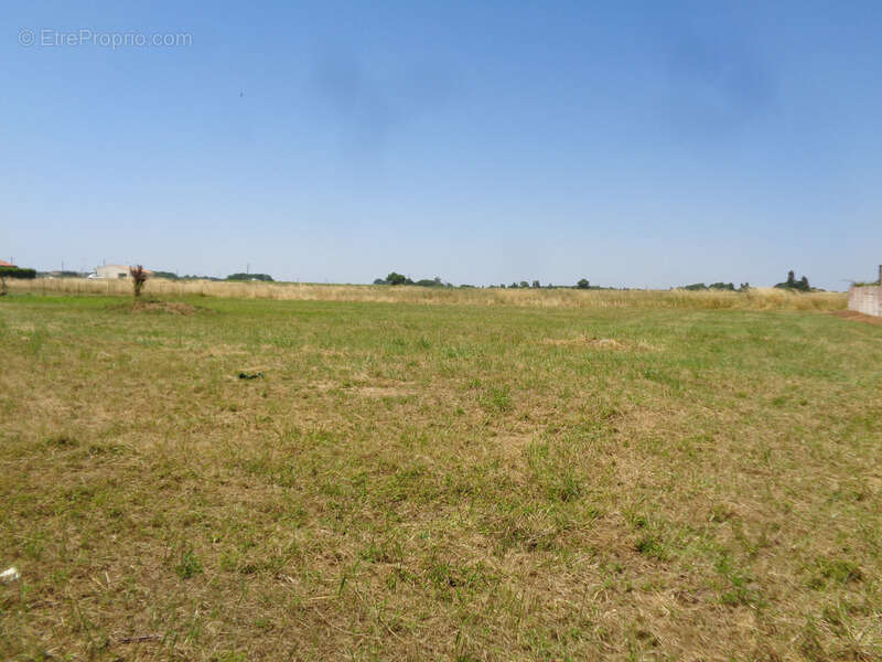 Terrain à PLASSAC